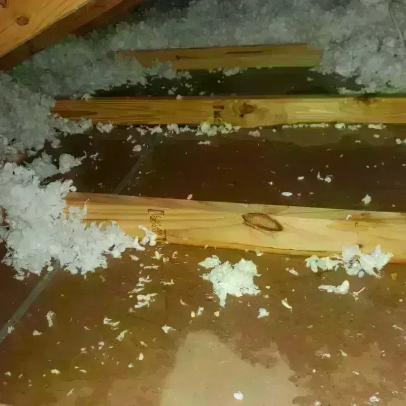 Attic Water Damage in Dixon, KY